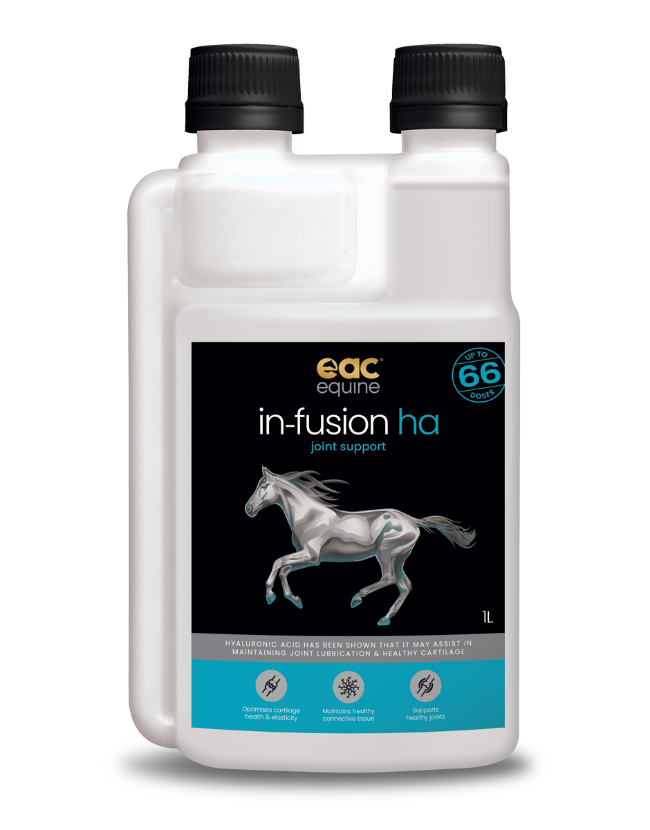 in-fusion ha - High Quality Hyaluronic Acid Supplement For Horses, Dogs & Cats