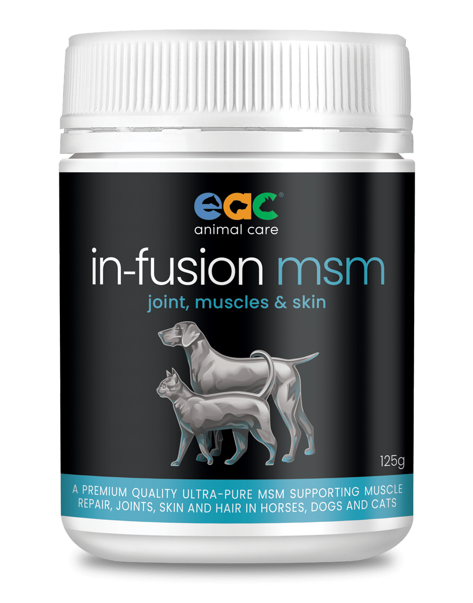 in-fusion msm - Ultra Pure Methylsulfonylmethane Joint Supplement For Horses, Dogs & Cats