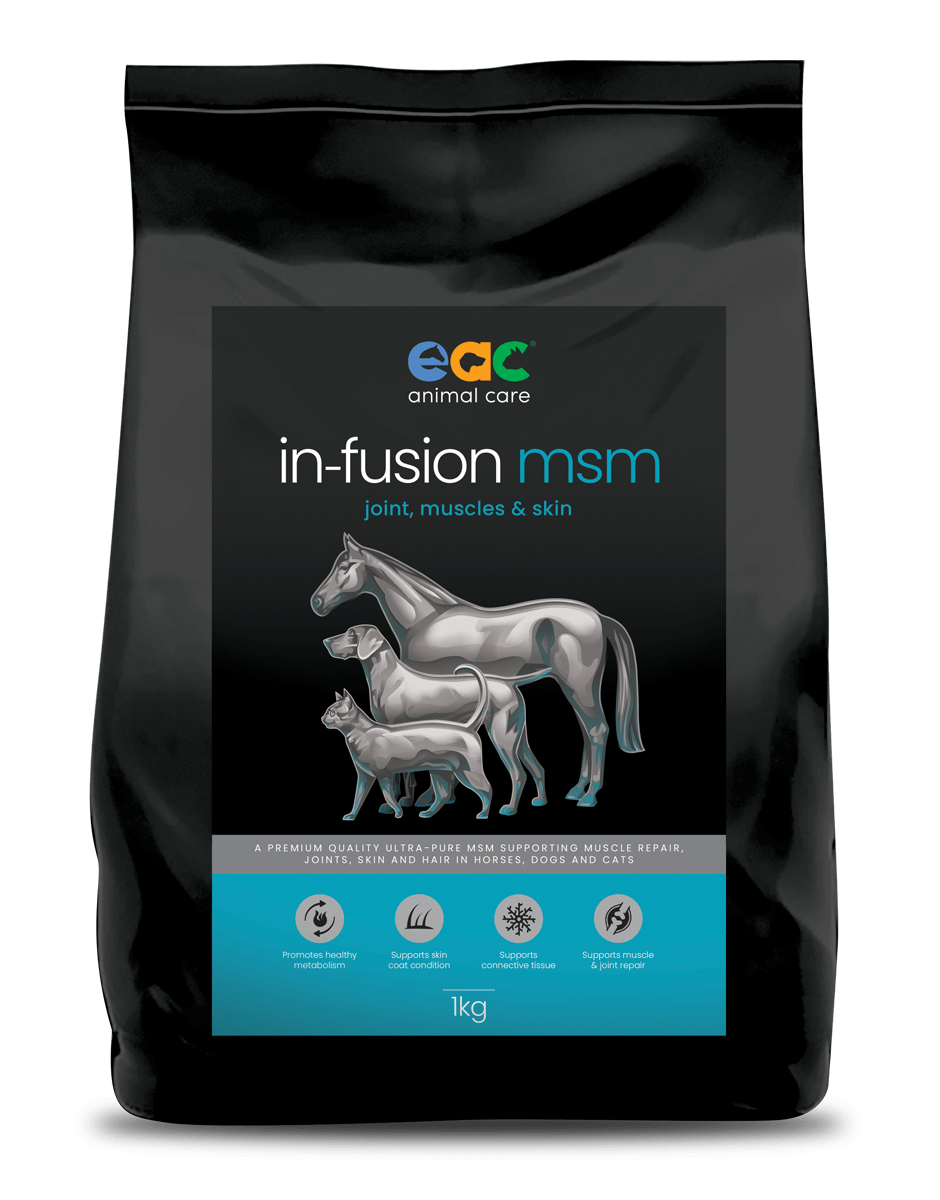 in-fusion msm - Ultra Pure Methylsulfonylmethane Joint Supplement For Horses, Dogs & Cats