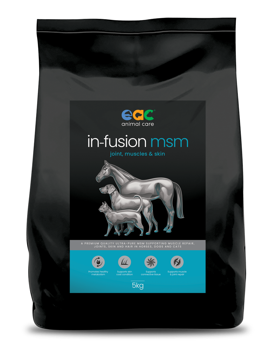 in-fusion msm - Ultra Pure Methylsulfonylmethane Joint Supplement For Horses, Dogs & Cats