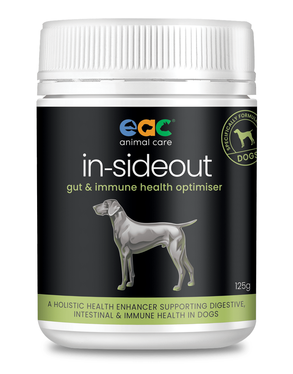 in-sideout Dog Formula - Pre & Probiotic Natural Supplement For Dogs