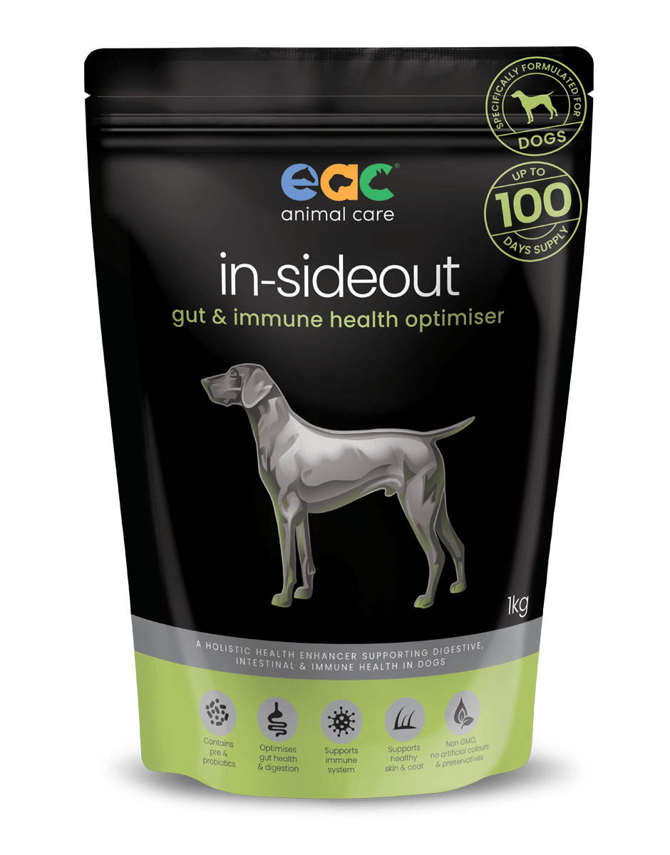 in-sideout Dog Formula - Pre & Probiotic Natural Supplement For Dogs