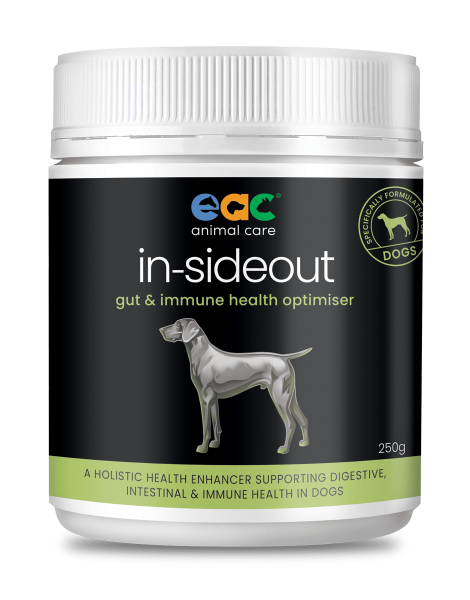 in-sideout Dog Formula - Pre & Probiotic Natural Supplement For Dogs