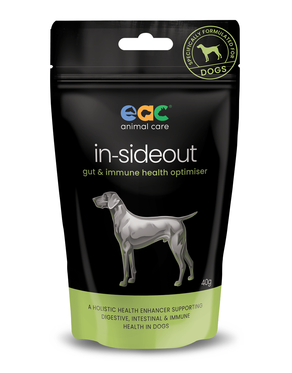 in-sideout Dog Formula - Pre & Probiotic Natural Supplement For Dogs