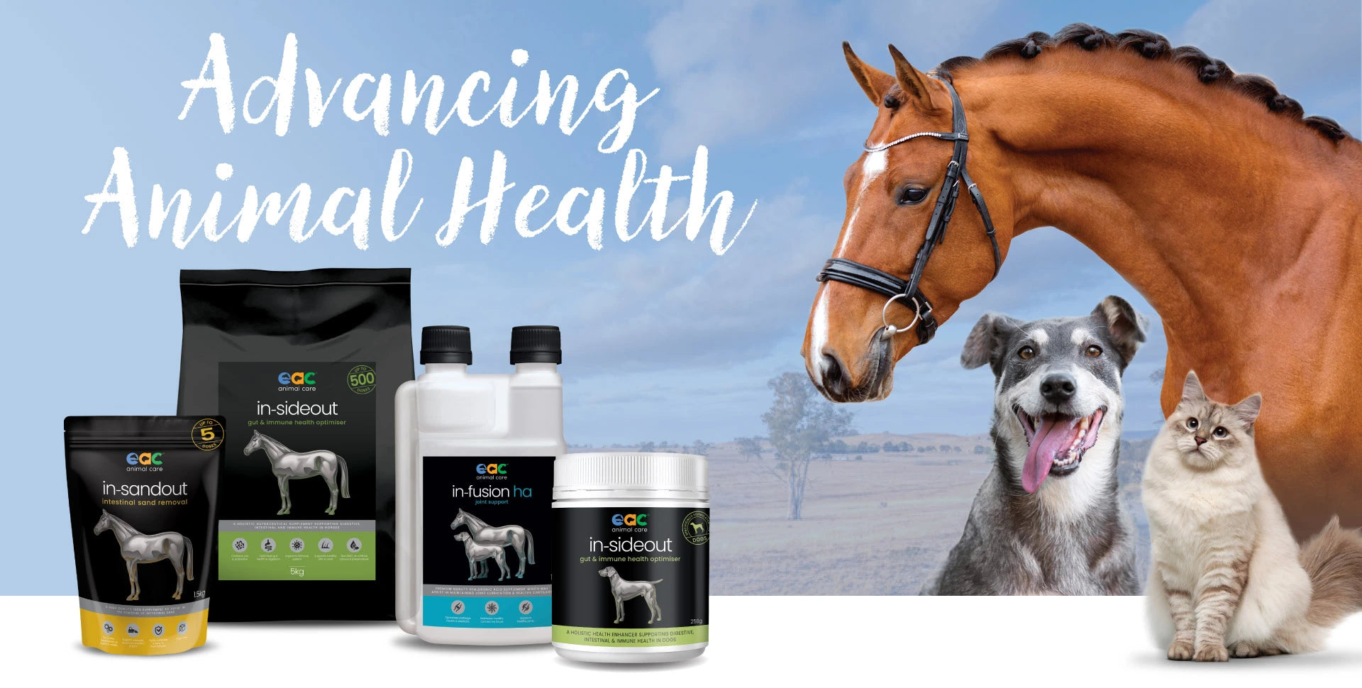 Animal Care Nz Animal Care Nz