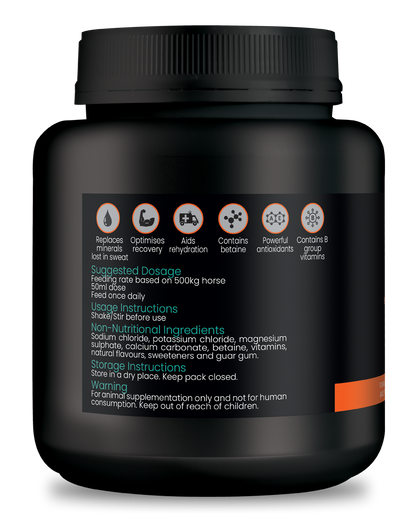 osmo-lyte rapid - Electrolyte Paste + B Group Vitamins