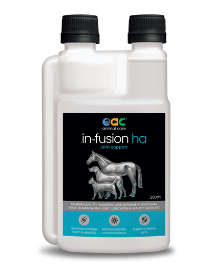 in-fusion ha - High Quality Hyaluronic Acid Supplement For Horses & Dogs