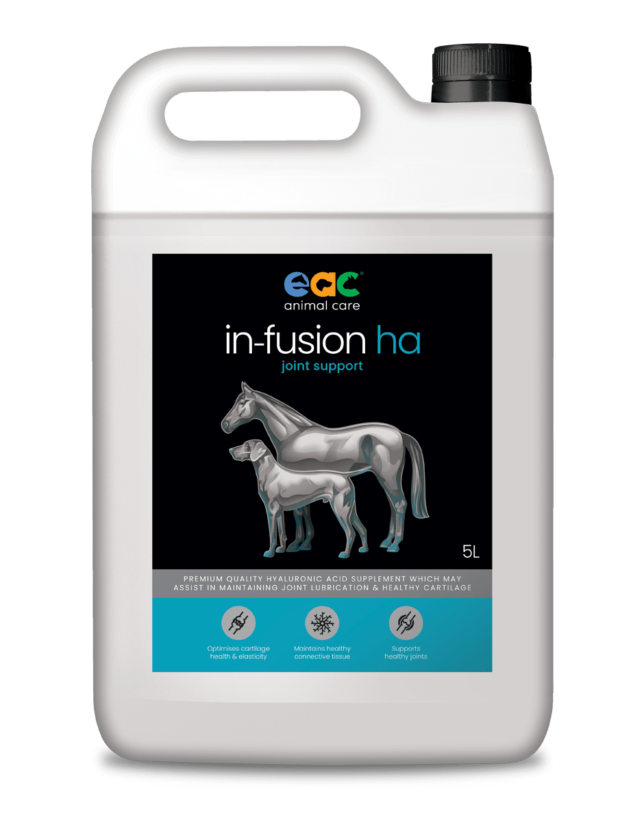 in-fusion ha - High Quality Hyaluronic Acid Supplement For Horses & Dogs